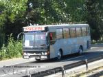 Metalpar Petrohue 2000 / Mercedes Benz OH-1420 / Tiburon