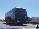 Modasa New Zeus II / Mercedes Benz O-500RSD / Condor Bus