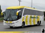 Marcopolo Paradiso G7 1200 / Mercedes Benz O-500RSD / Evolucion Bus