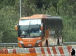 Busscar Vissta Buss Elegance 360 / Mercedes Benz O-500RS / Jota Ewert