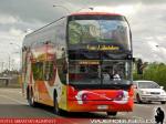 Youngman JPN6137SE / Pullman Los Libertadores