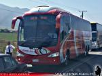 Irizar I6 / Mercedes Benz O-500RSD / Cormar Bus