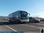 Neobus New Road N10 380 / Volvo B420R / Linatal