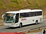 Busscar Vissta Buss LO / Mercedes Benz OH-1628 / Alberbus