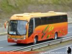 Maxibus Lince 3.45 / Mercedes Benz OF-1721 / Gama Bus - Servicio Especial