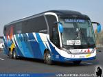 Neobus Road N10 380 / Volvo B420R / Linatal