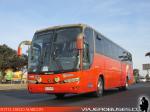 Marcopolo Viaggio 1050 / Scania K124IB / Particular