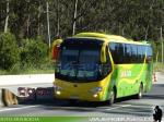 Yutong ZK6129H / Sol de Lebu