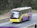 King Long XMQ6117Y / Buses Silpar