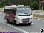 Volare W9 Fly / Buses Silpar