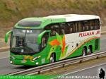 Mascarello Roma 370 / Volvo B420R / Pullman JR