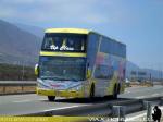 Modasa New Zeus II / Mercedes Benz O-500RSD / Jet Sur - Servicio Especial