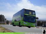 Modasa New Zeus II / Scania K410 / Pullman Bus