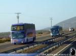 Unidades Scania - Mercedes Benz / Buses San Andres