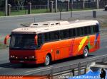 Mercedes Benz O-371RSL / Particular