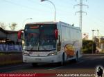 Unidades Mercedes Benz / Pullman del Sur