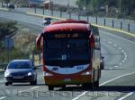 Irizar Century / Mercedes Benz O-500R / Buses JM