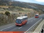 Unidades Pullman Bus - Tandem