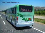 Busscar El Buss 340 / Volvo B7R / Nilahue