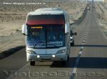 Busscar Jum Buss 360 / Mercedes Benz O-500RSD / Covalle Bus