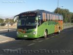 Flota de Buses Linea Azul / Ruta 5 Sur