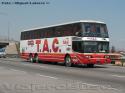 Eurobus Max CB Arbus / Coop. T.A.C.