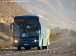 Marcopolo Andare Class 1000 / Mercedes Benz O-500R / Flota Verschae