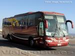 Marcopolo Andare Class 1000 / Mercedes Benz O-500R / Geminis