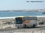 Irizar Century 3.90 / Scania K124IB / Atacama Vip