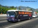 Busscar Jum Buss 340 / Scania K113 / Condor