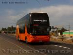 Young Man JNP6137S SE / Pullman Bus