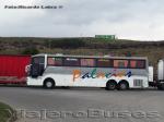 Busscar Jum Buss 380 / Scania K112 / Buses Palacios