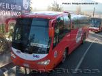 Flota de Buses JM