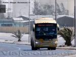 Flota de Buses Linea Azul