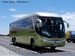 Marcopolo Paradiso G71200 / Mercedes Benz O-500RSD / Tur-Bus