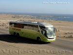 Marcopolo Paradiso G7 1200 / Mercedes Benz O-500RSD / Tur-Bus