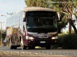 Irizar Century / Mercedes Benz O-500R / Transportes Cortes Flores