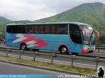 Marcopolo Viaggio 1050 / Mercedes Benz OF-1721 / Buses Pehuen