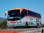 Irizar Century / Mercedes Benz O-500RS / Buses Madrid