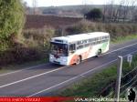 Maxibus Dolphin / Mercedes Benz OH-1418 / Buses Gonzalez