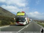 Zhong Tong Navigator LCK6137 Half Deck / Pullman Carmelita