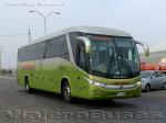 Marcopolo Paradiso 1050 - 1200 G7 / Mercedes Benz O-500RS & O-500RSD / Tur-Bus