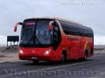 Young Man JNP6120T Starliner / Pullman Bus División Industrial