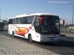 Flota de Buses Pullman del Sur / Ruta 5 Sur