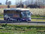 Unidades de Buses Varias Empresas Ruta 5 Sur