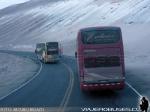 Marcopolo Paradiso 1800DD / Mercedes Benz O-500RSD - Scania K380 / Santa Ursula - Flores