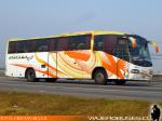 Irizar Century / Scania K124IB / Atacama Vip