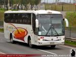 Marcopolo Viaggio 1050 / Scania K124IB / Pullman del Sur