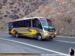 Neobus Thunder + & Marcopolo Senior / Mercedes Benz LO-916 & LO-915 / Horvitur - Turismo Los Molinos