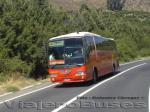 Pullman Bus / Marcas relacionadas